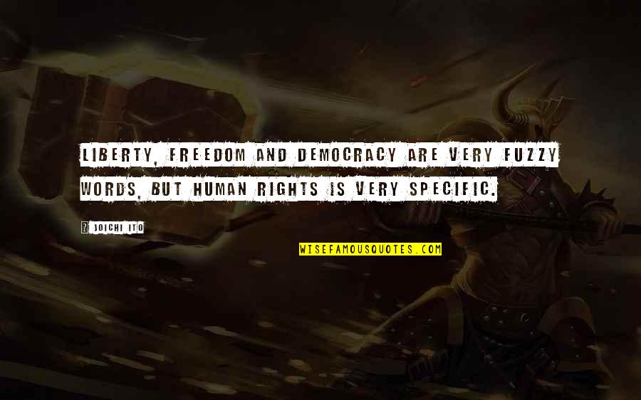 Liberty Vs Freedom Quotes By Joichi Ito: Liberty, freedom and democracy are very fuzzy words,