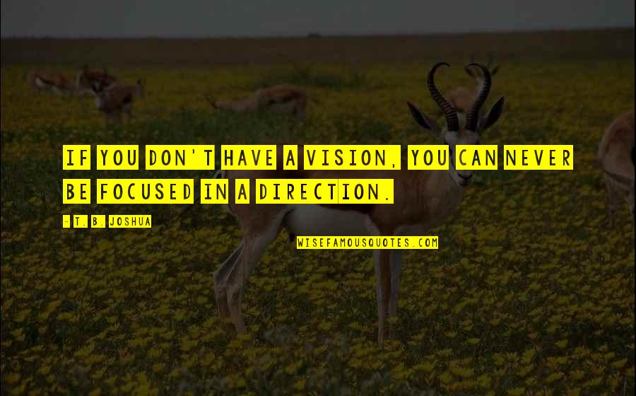 Liburnijske Quotes By T. B. Joshua: If you don't have a vision, you can