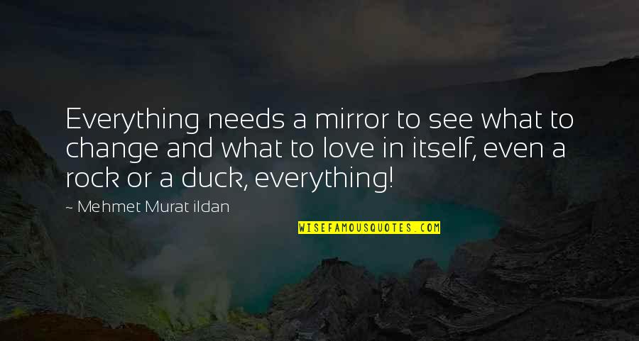 Licenses And Permits Quotes By Mehmet Murat Ildan: Everything needs a mirror to see what to