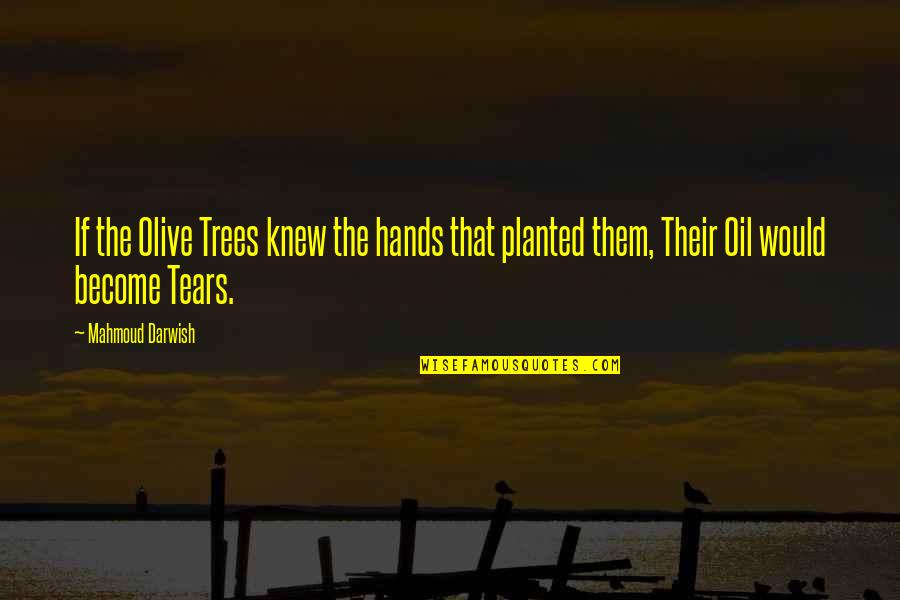 Lie To Children Quotes By Mahmoud Darwish: If the Olive Trees knew the hands that