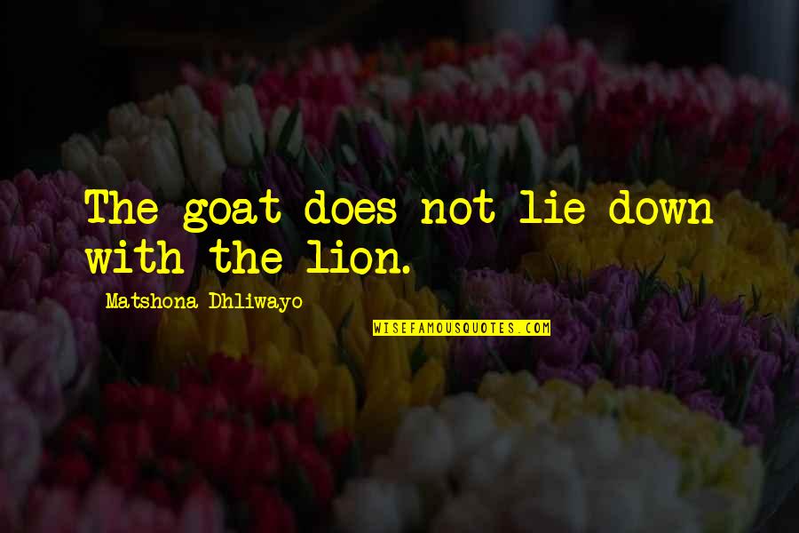 Lie With Quotes By Matshona Dhliwayo: The goat does not lie down with the