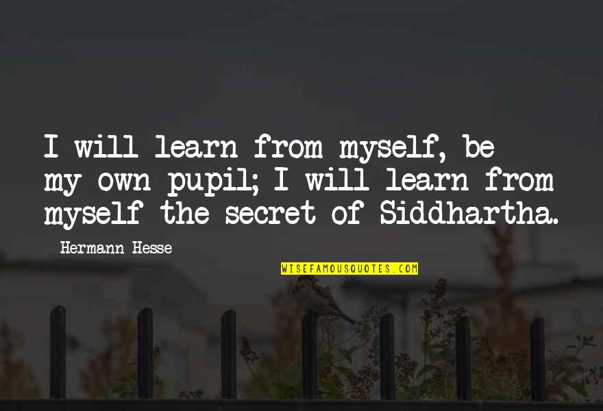 Lieutenant Data Quotes By Hermann Hesse: I will learn from myself, be my own