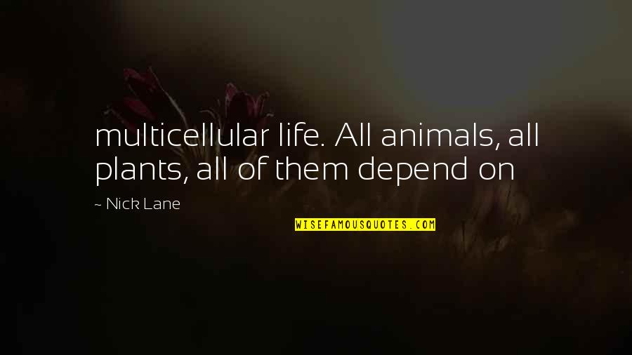 Life And Plants Quotes By Nick Lane: multicellular life. All animals, all plants, all of