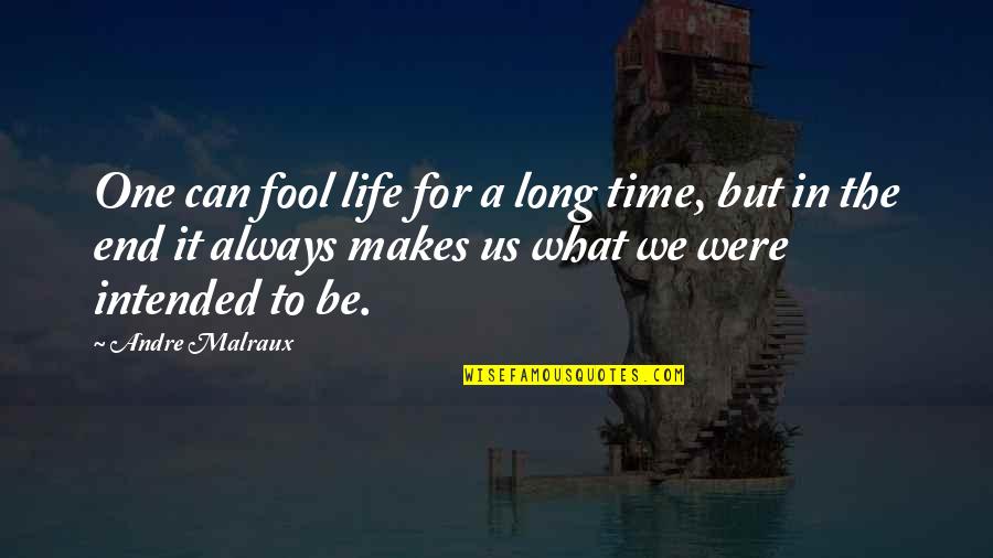 Life Dp Quotes By Andre Malraux: One can fool life for a long time,