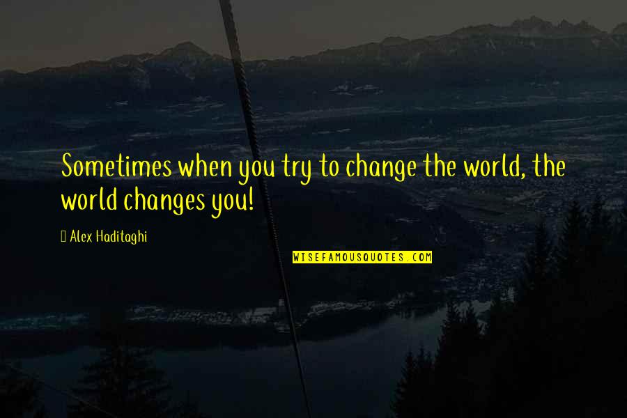 Life Experience Experience Quotes By Alex Haditaghi: Sometimes when you try to change the world,