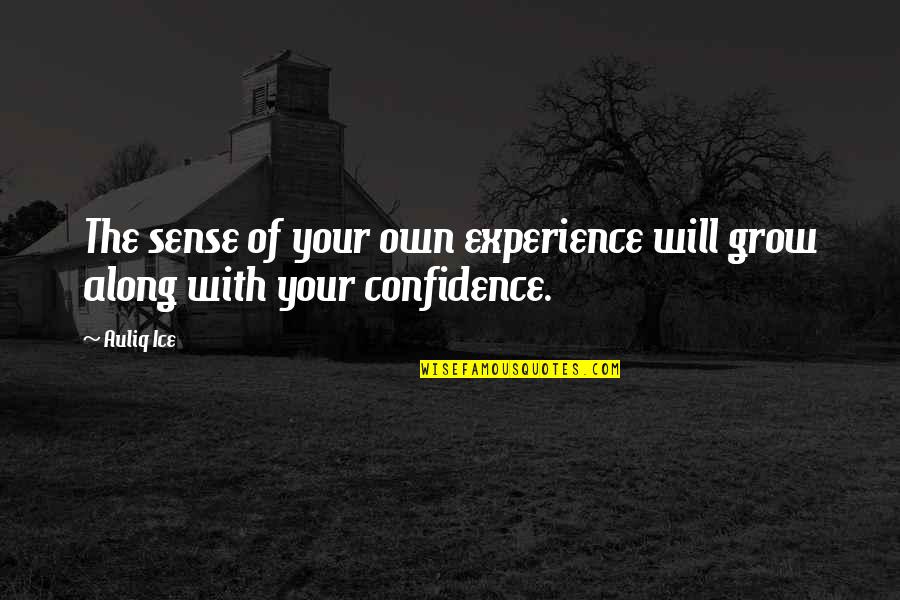 Life Experience Experience Quotes By Auliq Ice: The sense of your own experience will grow