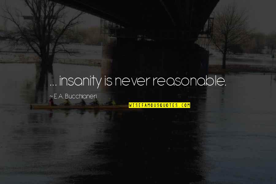 Life Experience Experience Quotes By E.A. Bucchianeri: ... insanity is never reasonable.