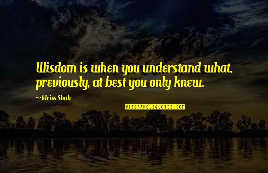 Life Experience Experience Quotes By Idries Shah: Wisdom is when you understand what, previously, at