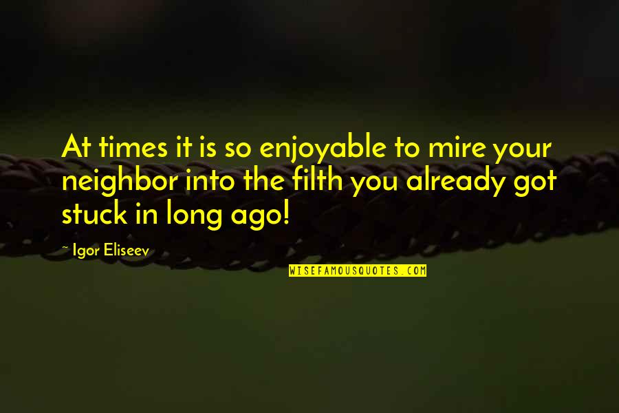 Life Experience Experience Quotes By Igor Eliseev: At times it is so enjoyable to mire