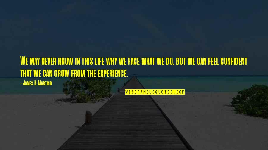 Life Experience Experience Quotes By James B. Martino: We may never know in this life why