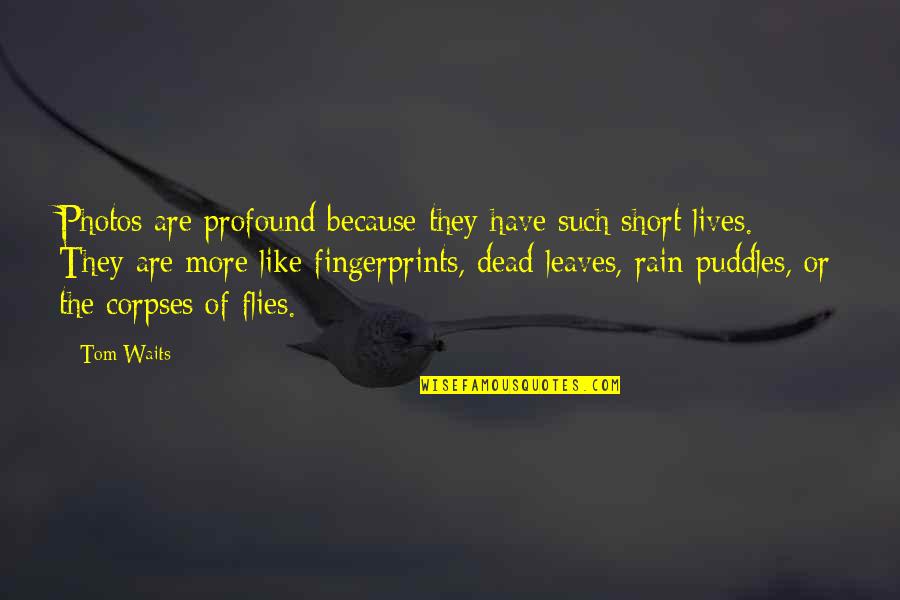 Life Flies Quotes By Tom Waits: Photos are profound because they have such short