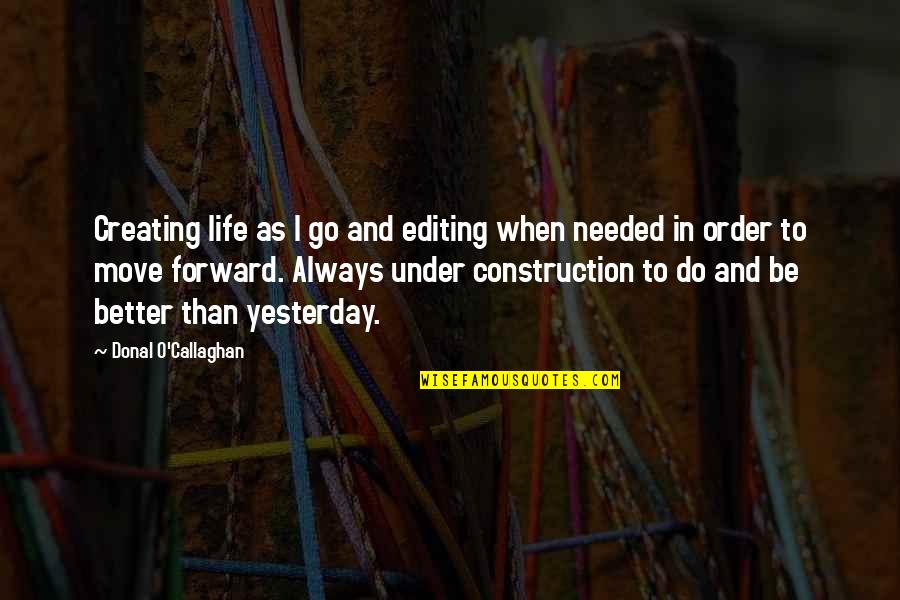 Life In Order Quotes By Donal O'Callaghan: Creating life as I go and editing when