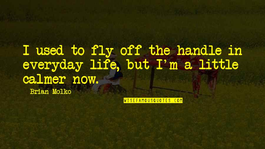 Life Is A Boomerang Quotes By Brian Molko: I used to fly off the handle in