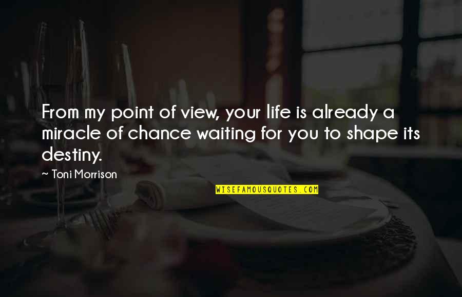 Life Is A Destiny Quotes By Toni Morrison: From my point of view, your life is