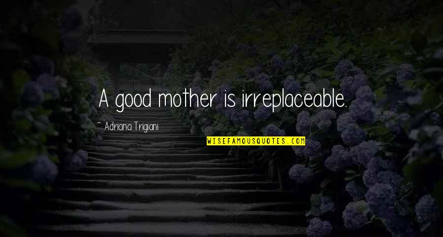 Life Is Full Of Choices Quotes By Adriana Trigiani: A good mother is irreplaceable.