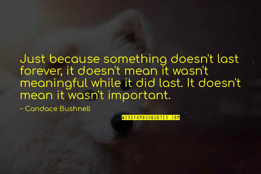 Life Is So Meaningful Quotes By Candace Bushnell: Just because something doesn't last forever, it doesn't