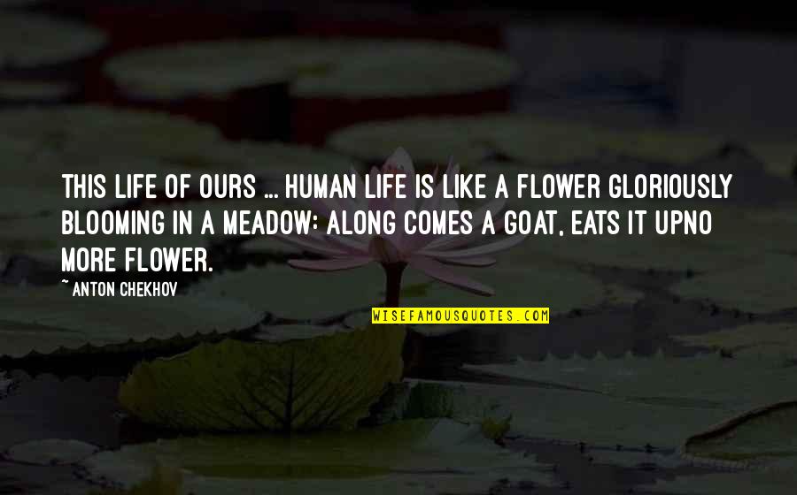 Life Of A Flower Quotes By Anton Chekhov: This life of ours ... human life is