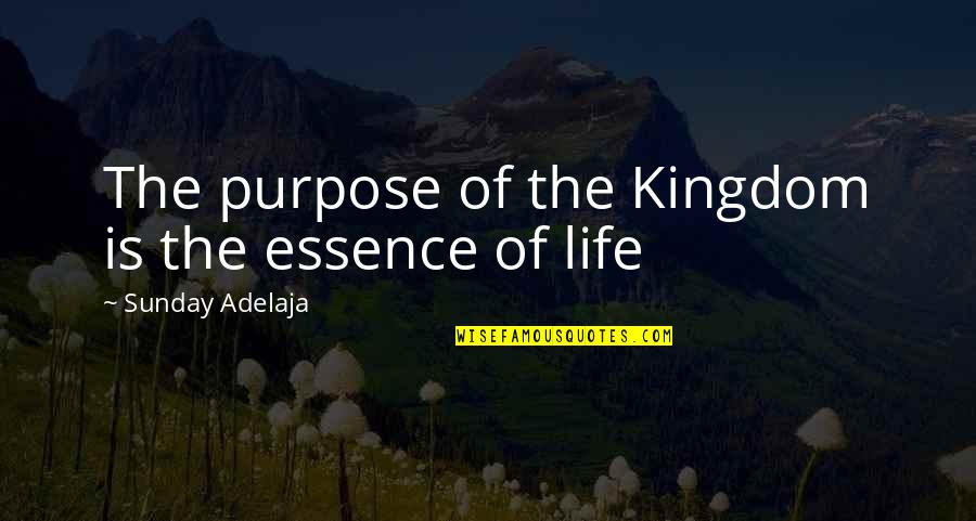 Life Opportunities Quotes By Sunday Adelaja: The purpose of the Kingdom is the essence