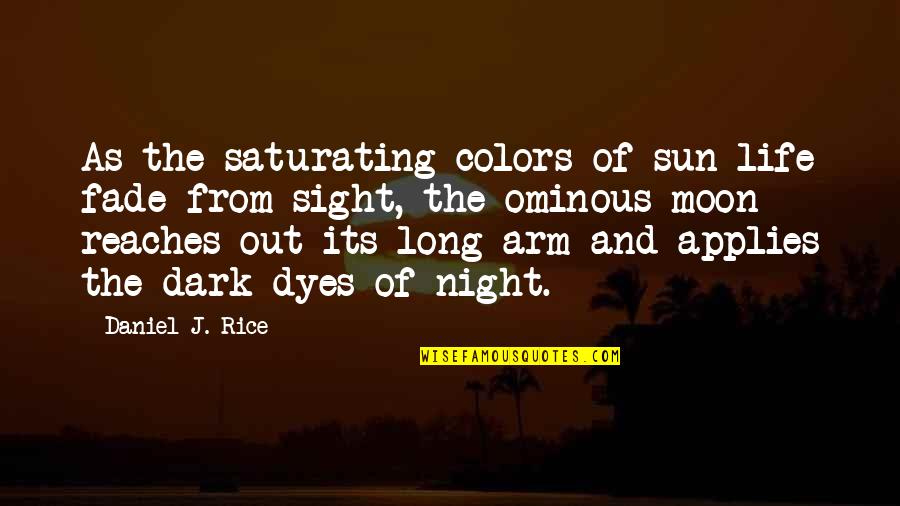 Life Painting Quotes By Daniel J. Rice: As the saturating colors of sun-life fade from