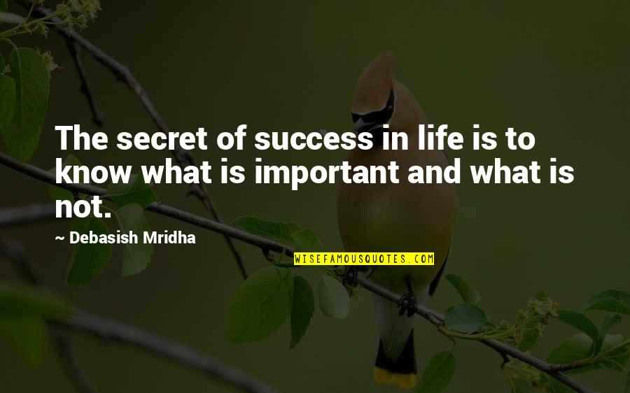 Life Philosophy Inspirational Quotes By Debasish Mridha: The secret of success in life is to