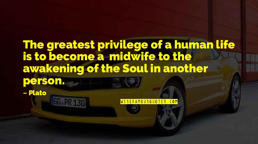 Life Privilege Quotes By Plato: The greatest privilege of a human life is