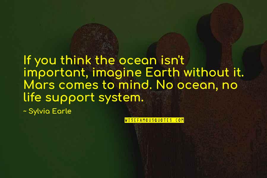 Life Support System Quotes By Sylvia Earle: If you think the ocean isn't important, imagine
