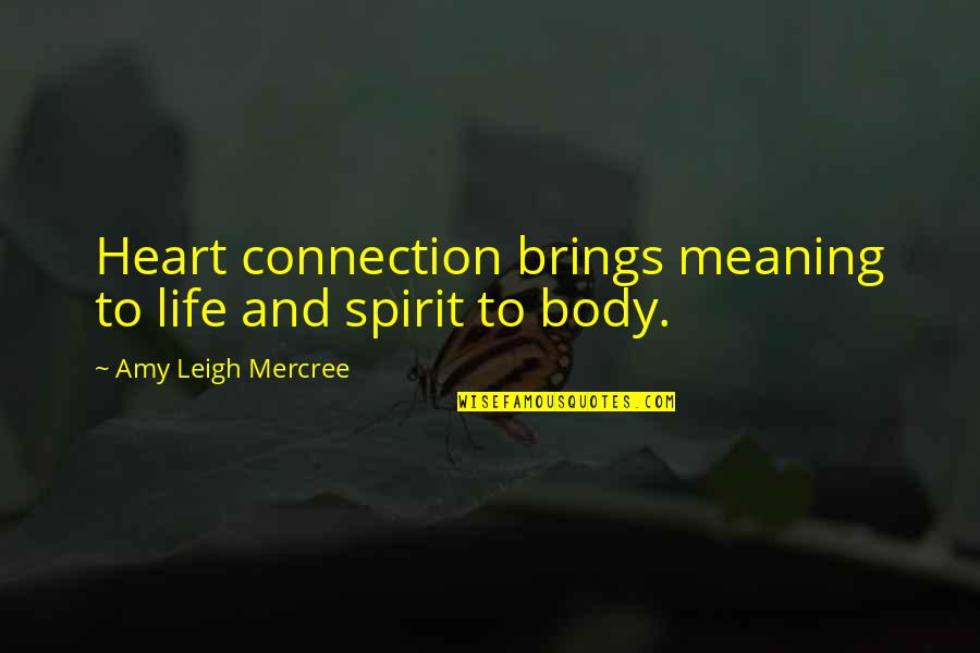 Life We Heart It Quotes By Amy Leigh Mercree: Heart connection brings meaning to life and spirit