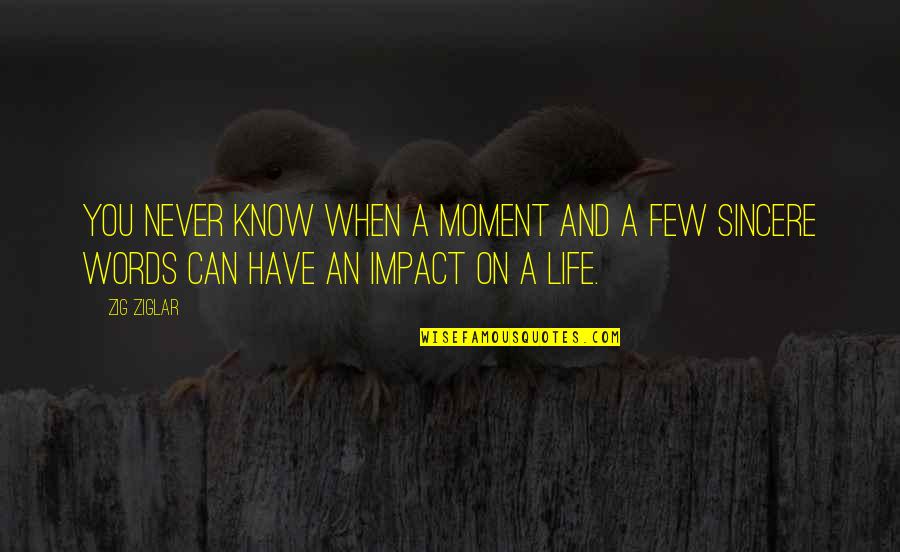 Life Zig Ziglar Quotes By Zig Ziglar: You never know when a moment and a