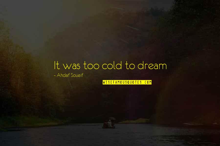 Lifehacker Business Quotes By Ahdaf Soueif: It was too cold to dream