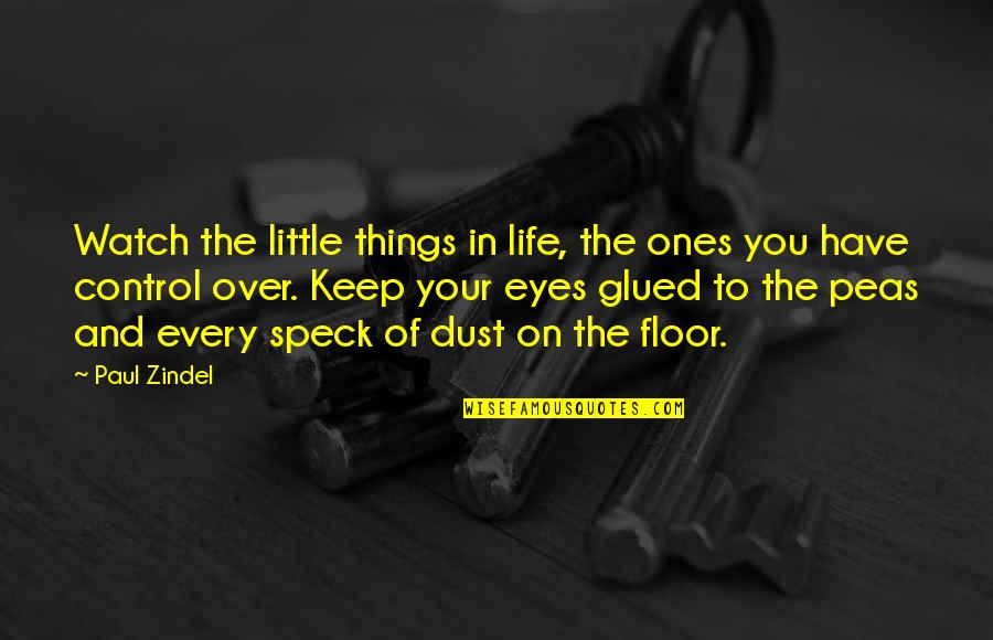 Life's Little Things Quotes By Paul Zindel: Watch the little things in life, the ones