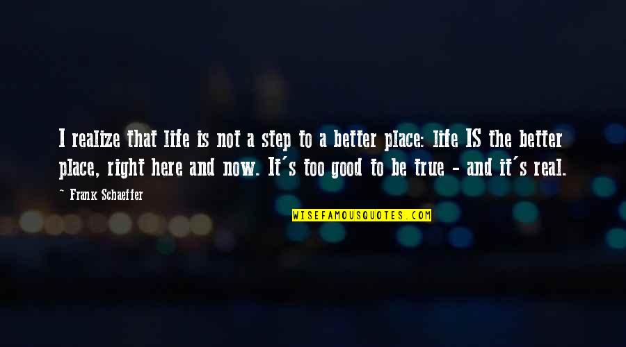 Life's Too Good Quotes By Frank Schaeffer: I realize that life is not a step