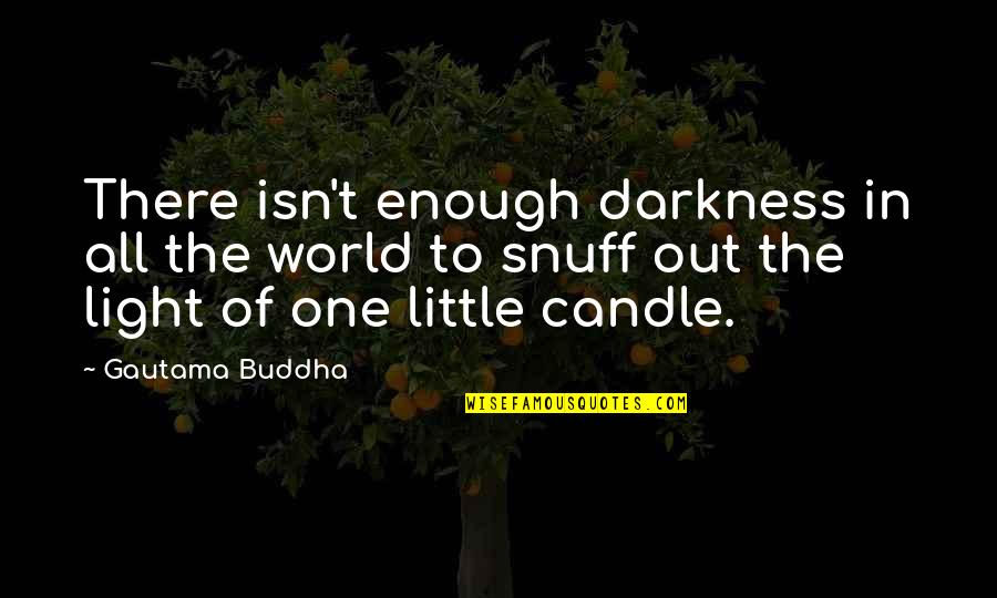 Light It Up 1 Quotes By Gautama Buddha: There isn't enough darkness in all the world