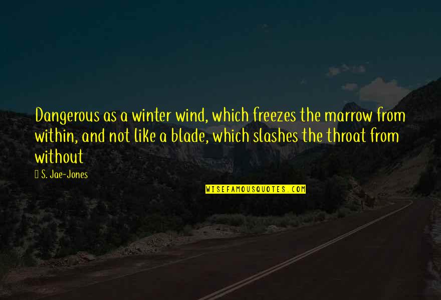 Like The Wind Quotes By S. Jae-Jones: Dangerous as a winter wind, which freezes the