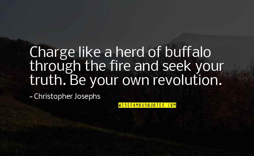 Like Your Life Quotes By Christopher Josephs: Charge like a herd of buffalo through the