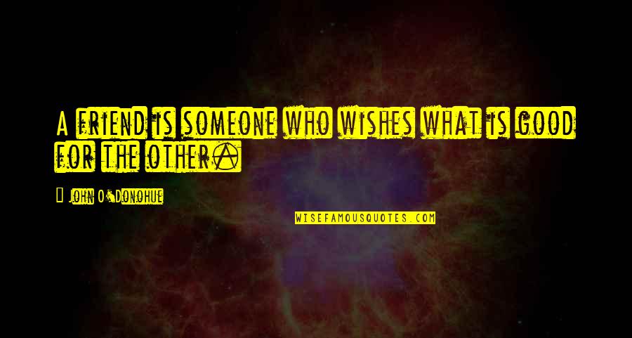 Liliani Muti Quotes By John O'Donohue: A friend is someone who wishes what is