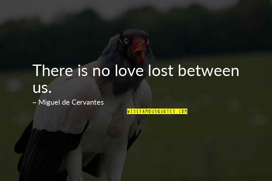 Lipstadt Denial Movie Quotes By Miguel De Cervantes: There is no love lost between us.