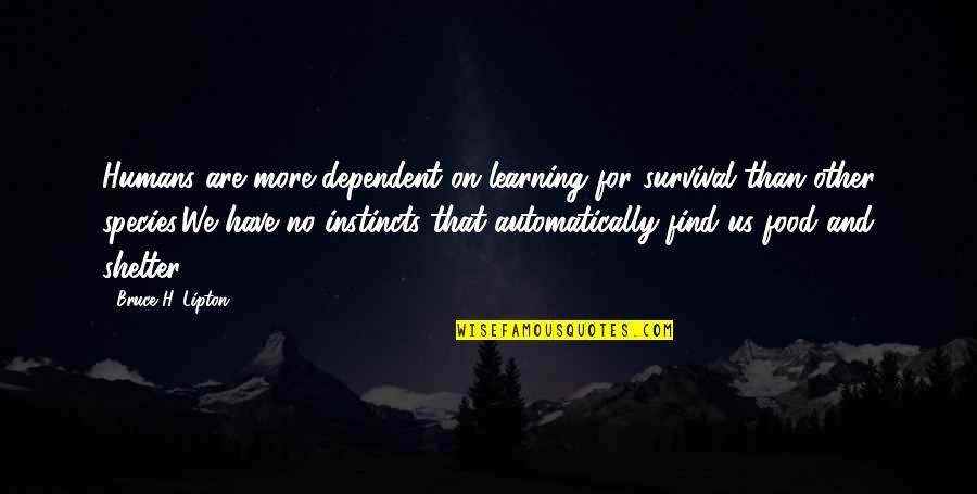 Lipton's Quotes By Bruce H. Lipton: Humans are more dependent on learning for survival