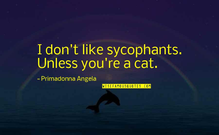 Lissitzky El Quotes By Primadonna Angela: I don't like sycophants. Unless you're a cat.