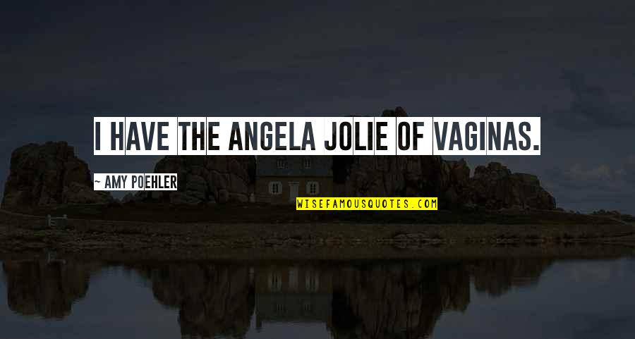 Little Country Boy Quotes By Amy Poehler: I have the Angela Jolie of vaginas.