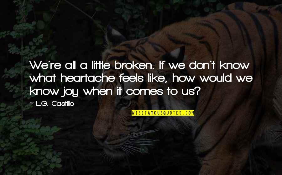 Little Joy Quotes By L.G. Castillo: We're all a little broken. If we don't