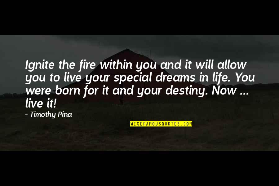 Live With The Fire Quotes By Timothy Pina: Ignite the fire within you and it will