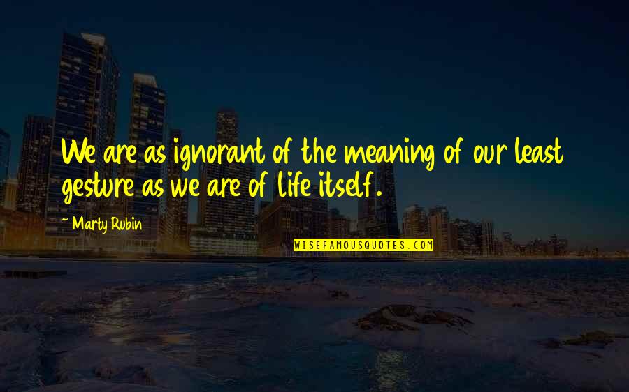 Living A Happier Life Quotes By Marty Rubin: We are as ignorant of the meaning of