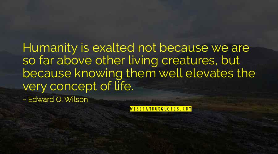 Living Creatures Quotes By Edward O. Wilson: Humanity is exalted not because we are so