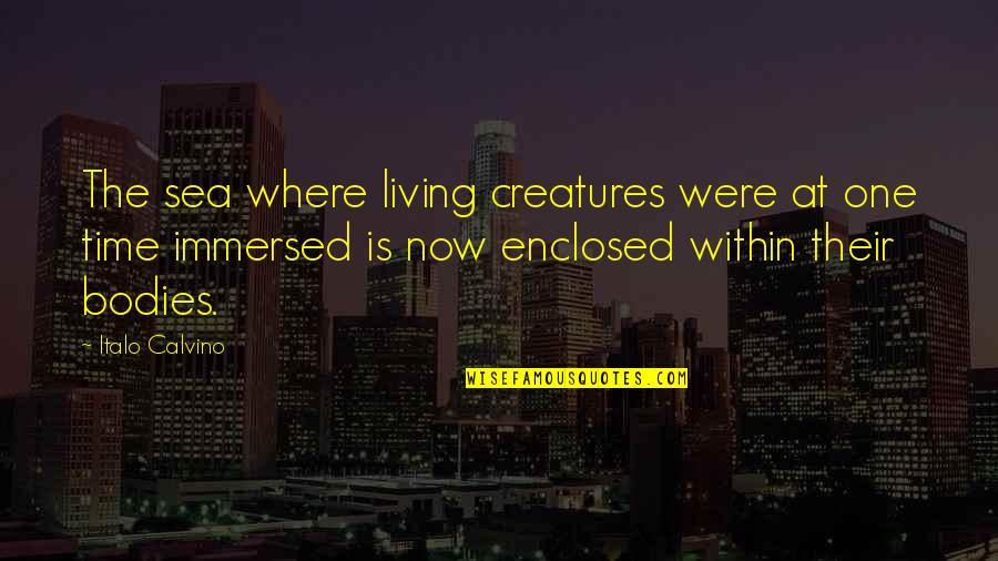 Living Creatures Quotes By Italo Calvino: The sea where living creatures were at one