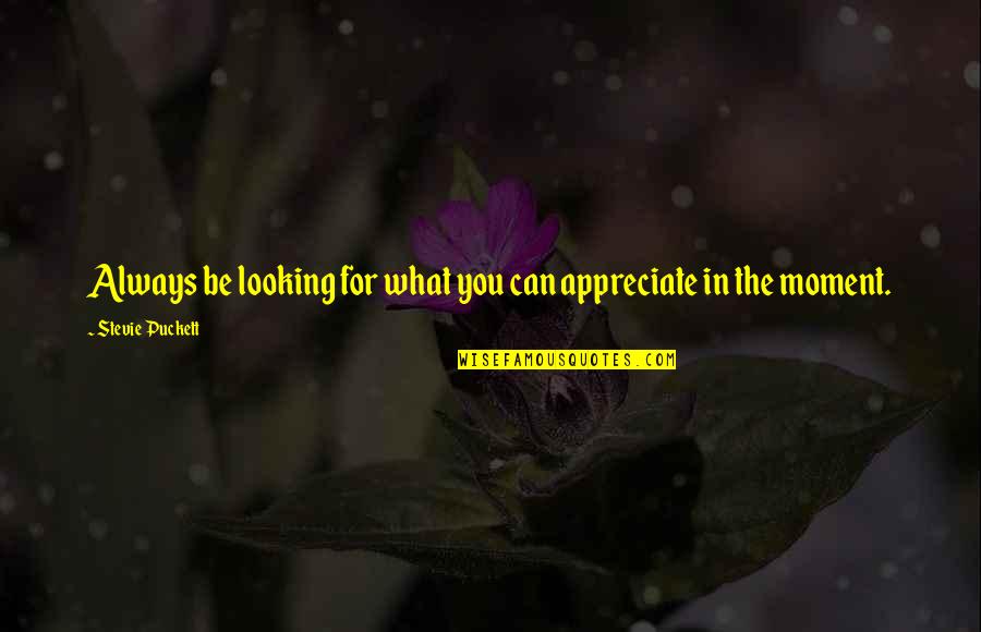 Loa Positive Quotes By Stevie Puckett: Always be looking for what you can appreciate