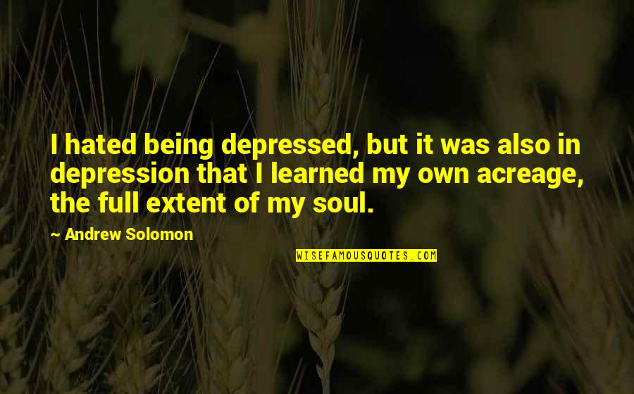 Locanto App Quotes By Andrew Solomon: I hated being depressed, but it was also