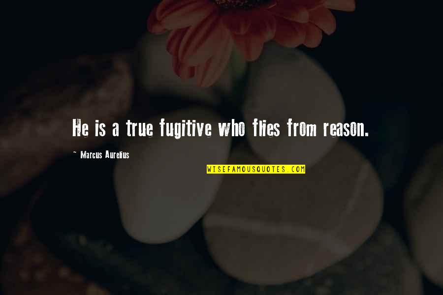 Logic And Reason Quotes By Marcus Aurelius: He is a true fugitive who flies from