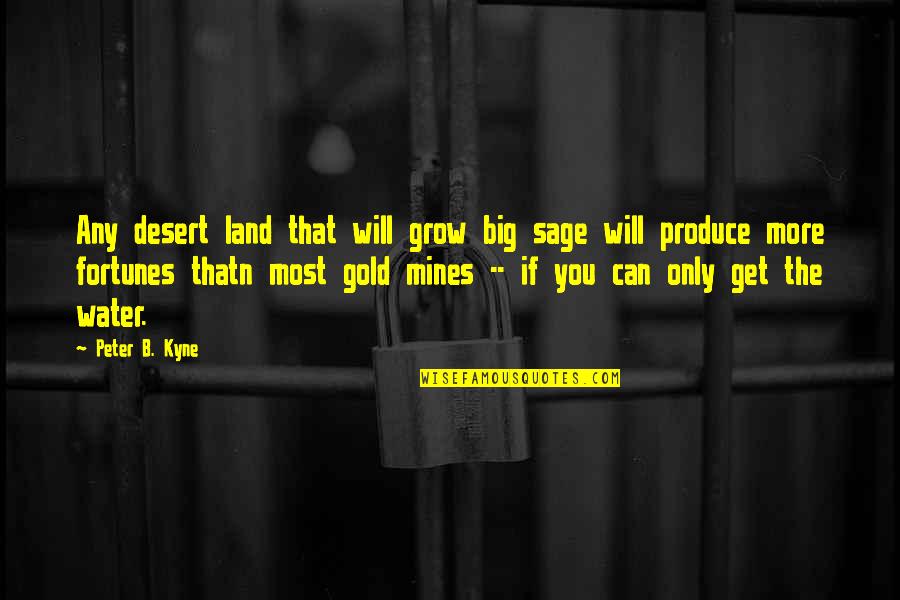 Logrado En Quotes By Peter B. Kyne: Any desert land that will grow big sage