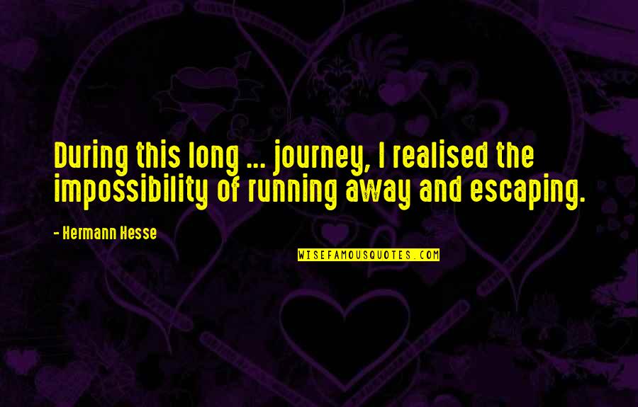 Long Journey Quotes By Hermann Hesse: During this long ... journey, I realised the