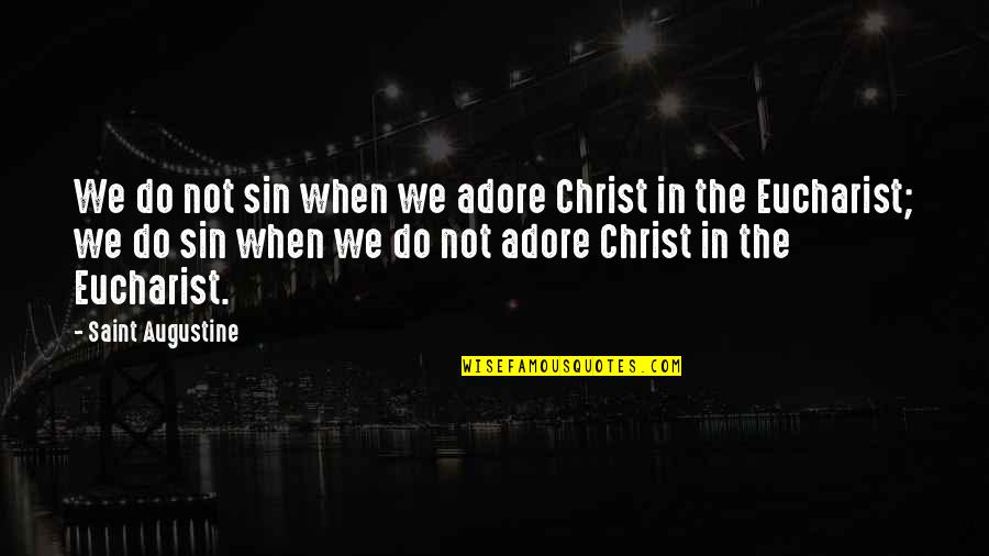 Look At Yourself Before Talking About Others Quotes By Saint Augustine: We do not sin when we adore Christ